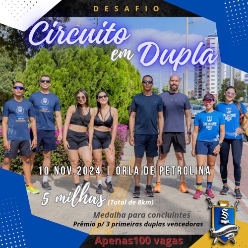 DESAFIO CIRCUITO EM DUPLA